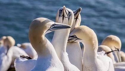 数字货币投资1000，利用杠杆真的可以赚1000000吗？