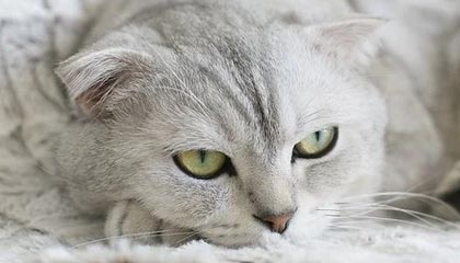 比特币突发崩盘式暴跌，超47万人爆仓400亿！发生了什么？