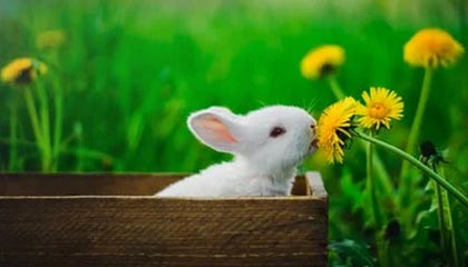 比特币合约是什么意思？